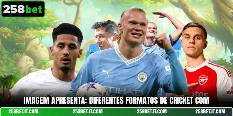 Imagem apresenta: Diferentes formatos de Cricket com